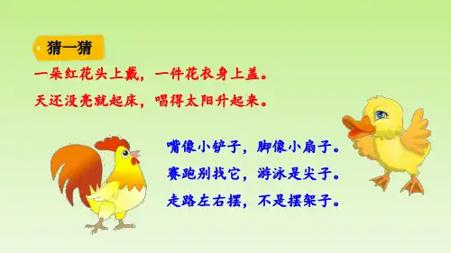一年级【下】册语文-5小公鸡和小鸭子部编版(32张ppt)公开课课件