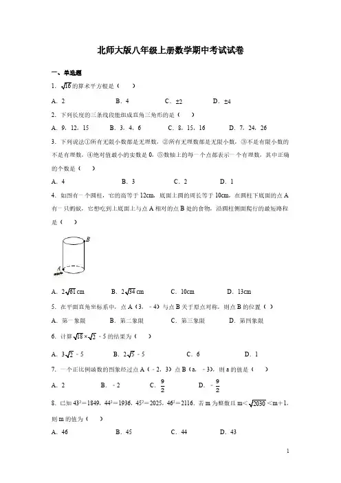 北师大版八年级上册数学期中考试试题及答案