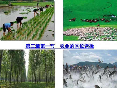 人教版高中地理必修二课件 3.1农业的区位选择(共52张ppt)