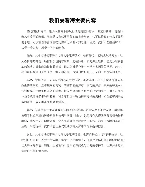 我们去看海主要内容