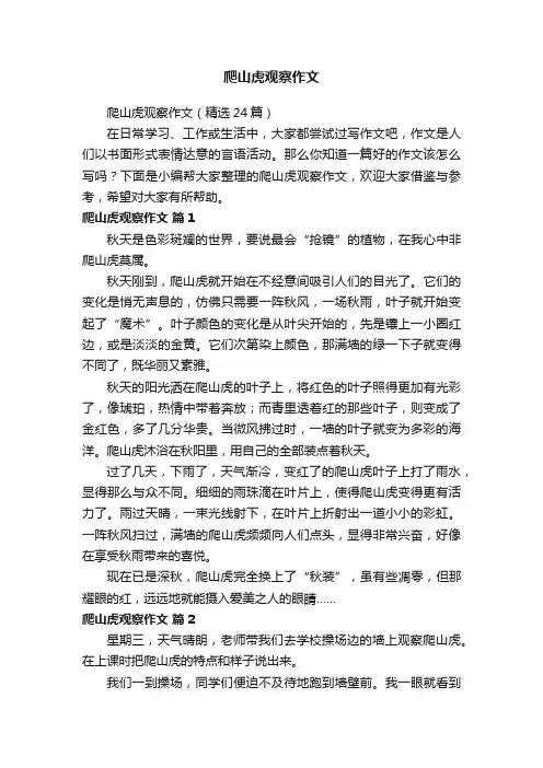 爬山虎观察作文（精选24篇）