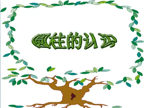 青岛版六年级下册-圆柱与圆锥的认识课件