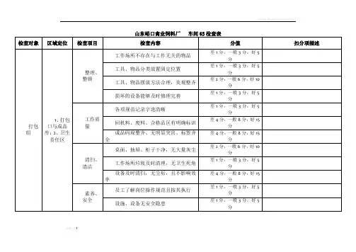 车间6S卫生检查表