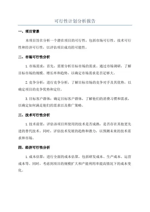 可行性计划分析报告
