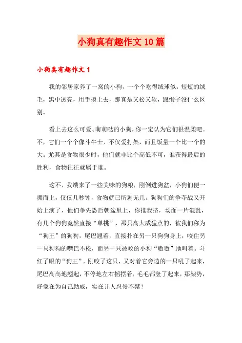 小狗真有趣作文10篇