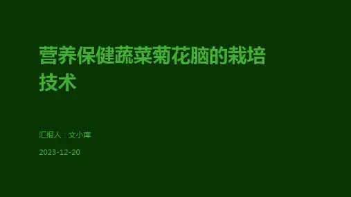 营养保健蔬菜菊花脑的栽培技术