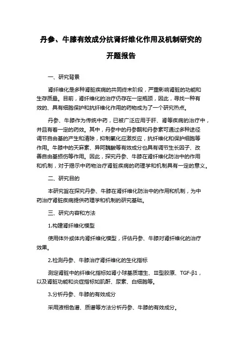 丹参、牛膝有效成分抗肾纤维化作用及机制研究的开题报告