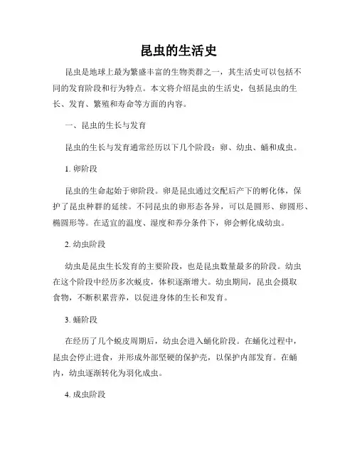 昆虫的生活史