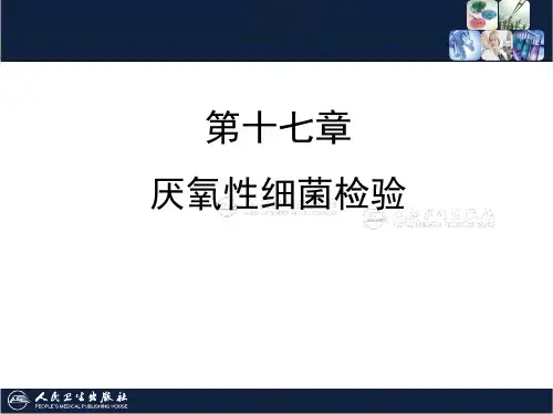 17章 厌氧性细菌检验