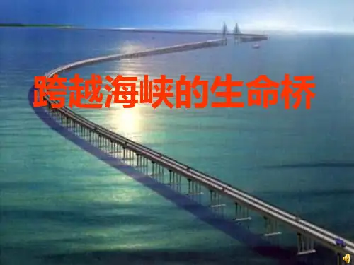 跨越海峡的生命桥28949 ppt课件