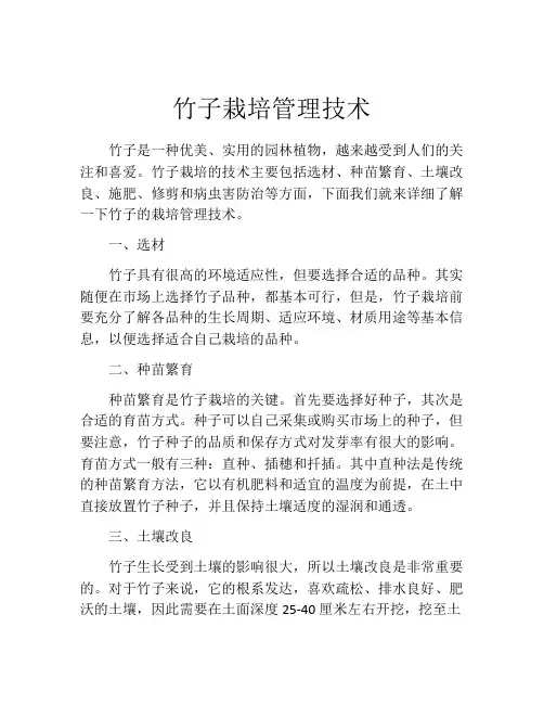 竹子栽培管理技术