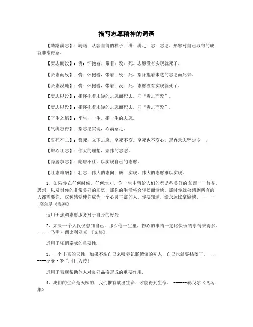 描写志愿精神的词语