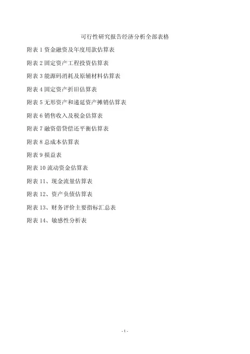 可行性研究报告经济分析全部表格