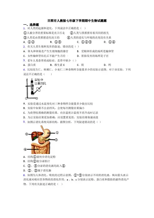 日照市人教版七年级下学期期中生物试题题