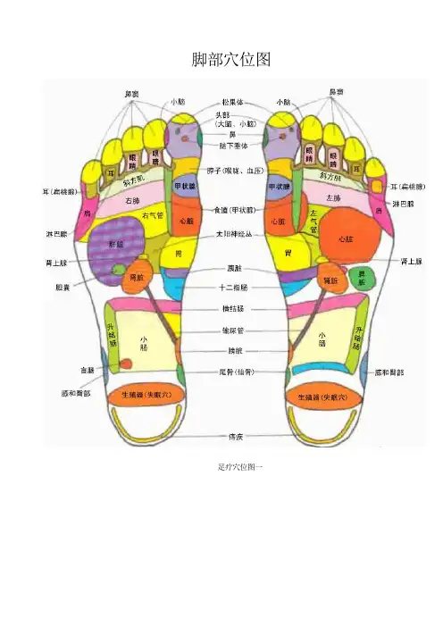 脚部穴位图全面(图文)