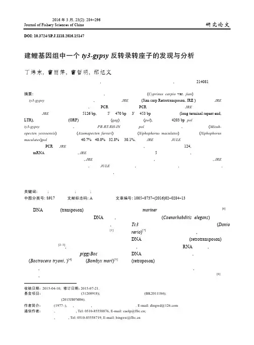 建鲤基因组中一个 ty3-gypsy 反转录转座子的发现与分析