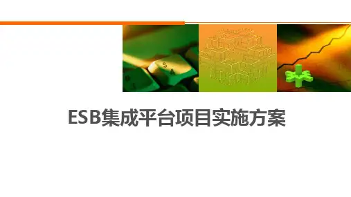 ESB集成平台项目实施方案-基于IBM中间件