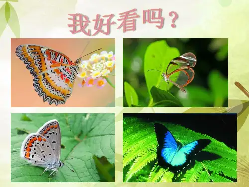人教版八年级生物下册《昆虫的生殖和发育》优秀课件