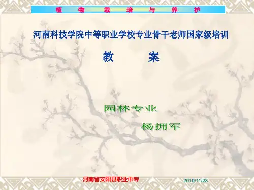 植物栽培和养护