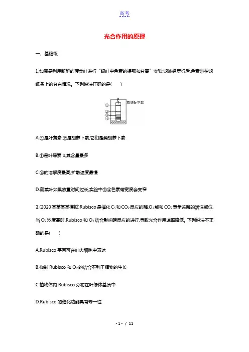 2022高考生物一轮复习课时练10光合作用的原理含解析新人教版