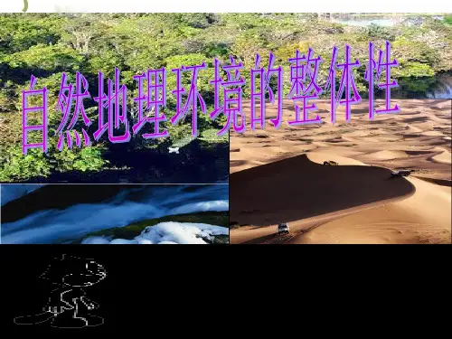 3.2自然地理环境的整体性和地域分异课件2021-2022学年中图版高中地理必修1