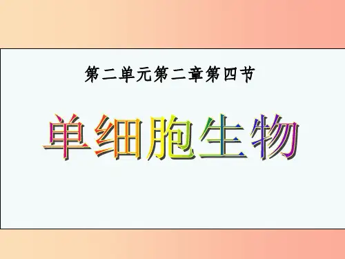 201X年七年级生物上册2.2.4单细胞生物课件4 新人教版