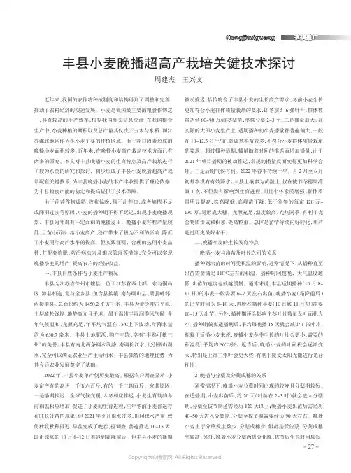 丰县小麦晚播超高产栽培关键技术探讨