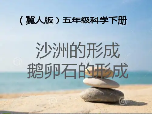 五年级科学下册课件沙洲的形成冀人版精美版