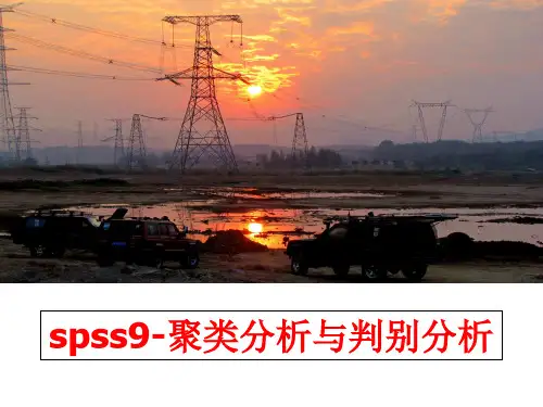 最新spss9-聚类分析与判别分析