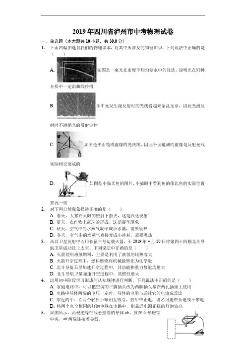 2019年四川省泸州市中考物理试卷及参考答案