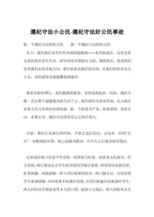 遵纪守法小公民-遵纪守法好公民事迹