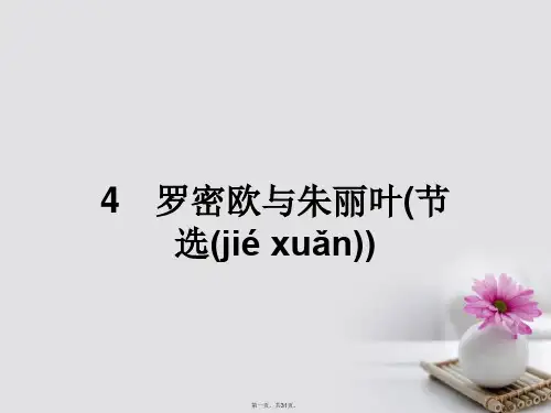 高中语文2.4罗密欧与朱丽叶(节选)课件鲁人版必修5