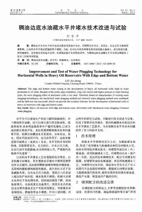 稠油边底水油藏水平井堵水技术改进与试验