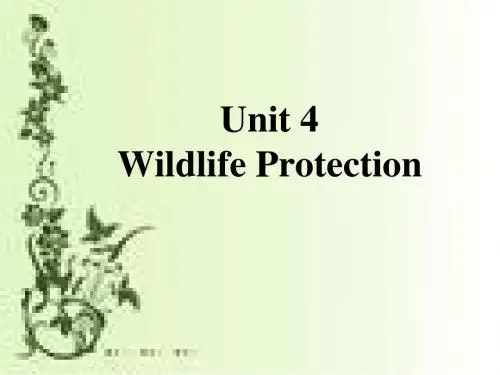 高一英语wildlife-protection课件
