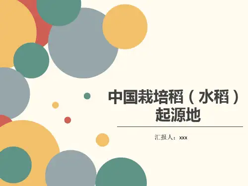 自学自讲水稻的起源
