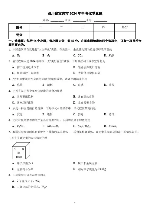 四川省宜宾市2024年中考化学真题(含答案)