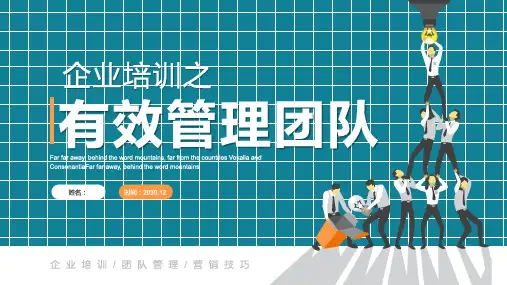 扁平化有效管理团队PPT培训课件模板课件