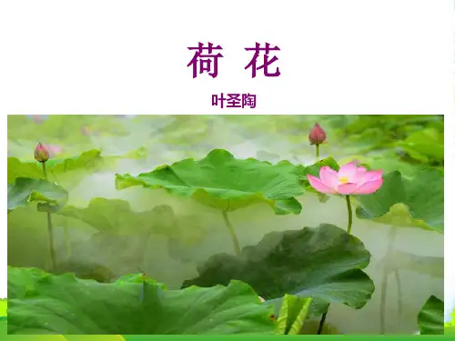 部编版三年级语文下册3 荷花 (2)