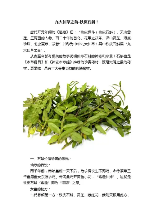 九大仙草之首-铁皮石斛！