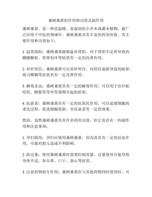 桑树桑黄的作用和功效及副作用