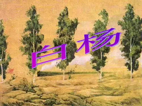 人教版五年级语文下册《白杨》PPT课件