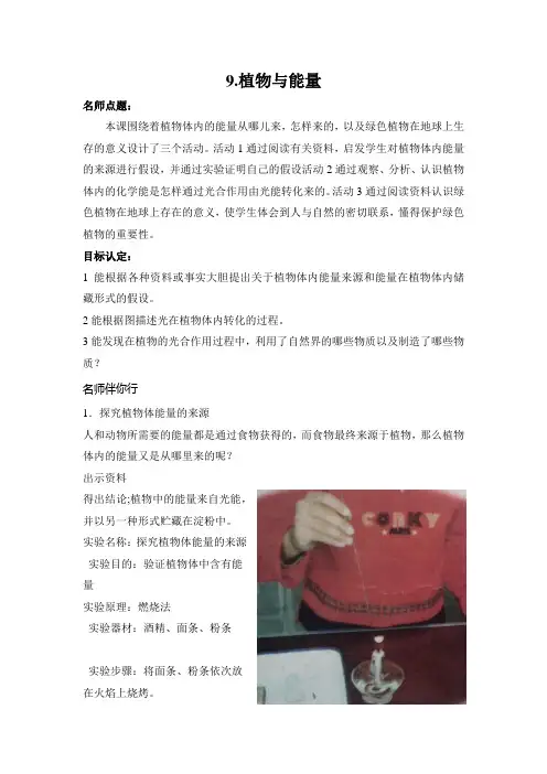 (冀人版)小学科学教与学·六年级上 (9)植物与能量