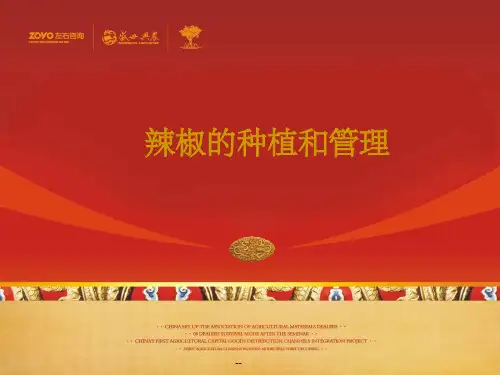 辣椒的种植和管理ppt课件