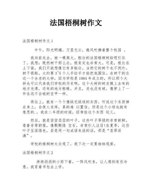 法国梧桐树作文