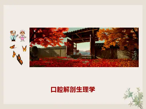 口腔下颌磨牙解剖形态