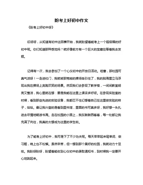 盼考上好初中作文