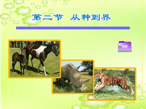 初中生物从种到界课件