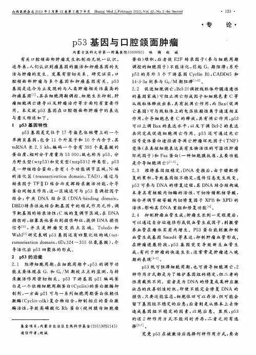 p53基因与口腔颌面肿瘤