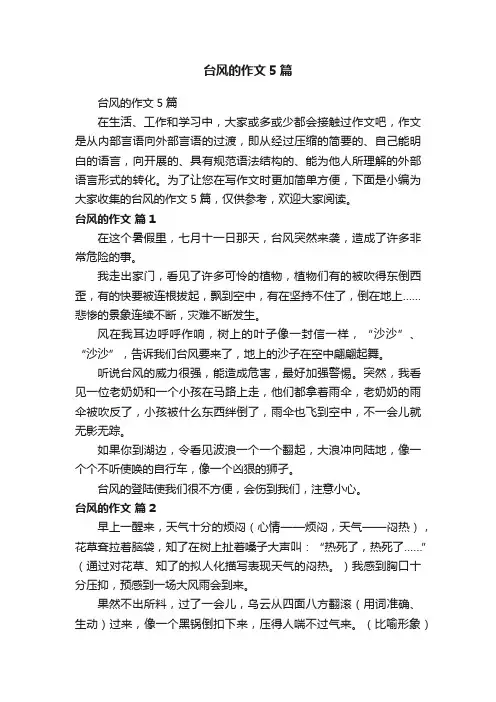 台风的作文5篇
