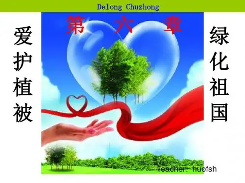 我国主要的植被类型六种草原热带雨林荒漠常绿阔叶林